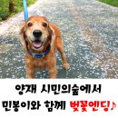 민 동물병원(동물미용) 이미지