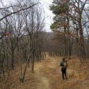 솔향기 쉼터 이미지