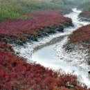 별량시장 이미지