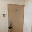 신학초교 이미지