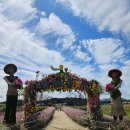 강원도집 다사점 | 강원도 철원 고석정 꽃밭 축제 후기