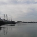 진도 맛코다리 이미지