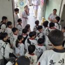 용인대송라태권도 이미지