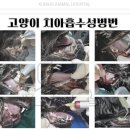 금호동물병원 이미지