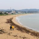 대진5리해변 이미지