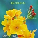 토박이 이미지