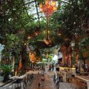 No.1 GYM | 좋은 짱구 헬스장 Pucuk Gym 추천💪🏽/ 대형 브런치...Desa Kitsuné), 페니레인(Penny Lane) 후기