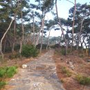 삼한국대부인순흥안씨묘 이미지