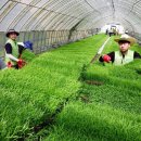 대호지농협하나로마트 이미지