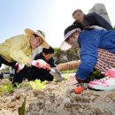 중랑천 제2체육공원 이미지