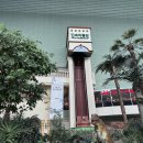 옛골식당 | 롯데월드 맛집, 민속박물관 식당 3곳 비교! 누옛골주막 후기 &amp; 재입장확인증 이용팁 총정리