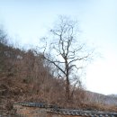 임고면-삼매리-21 | [영천] 산천정(山泉亭)