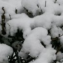 새로나경로당 이미지