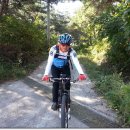 창녕공설운동장 이미지