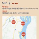 호텔정관루별관(게스트하우스) | 강아지와 함께 남이섬 여행 2(호텔 정관루 애견 동반 투투 별장)