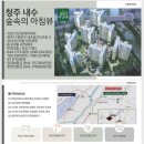 숲속의아침3 이미지