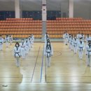 용인대브니엘체육관 이미지