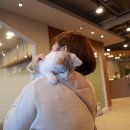 더 샵 동물메디컬센터 이미지