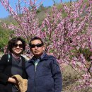 내촌초교 이미지