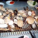 새미다방 이미지