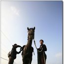 농촌목장 이미지