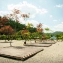 산촌캠핑장 이미지