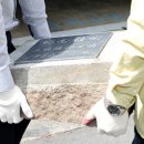 제주도청 이미지