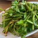 하계생오리 이미지