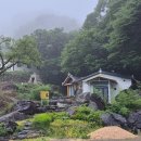 오념문 100일 정진 제61일 / 양산 40.3도 폭염 이미지