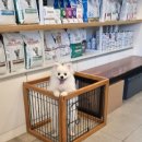 오라고동물병원 이미지