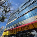 에스척센정형외과의원 이미지