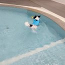 놀로 아쿠아센터 이미지