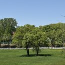 흑진주목장 이미지