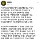 의료대란 관련한 요양병원 의사의 글 이미지