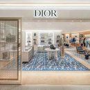 레이디올 이미지