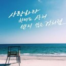 사랑 Daum카페