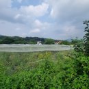 블루베리 가족 독채펜션 이미지