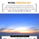 아바이식품