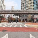 10단지랜드공인중개사사무소 이미지