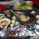 조개까는 세상 이미지