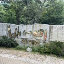 배너미오토캠핑장 이미지