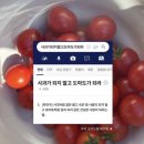 크로스핏펀앤팸 | 3월의 마음가짐