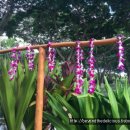 알로하호텔 이미지