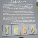 금강고을 | 공주여행) 공산성, 풀꽃 문학관, 베이커리 밤마을카페 탐방 내 돈 내산 후기 ②