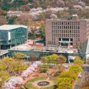 새이처럼치과의원 이미지