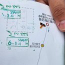 하단동1163 이미지