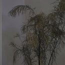 수완로R 네이버블로그
