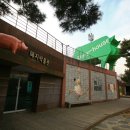 돼지보러오면돼지 이미지