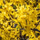 달맞이봉(공원) 이미지