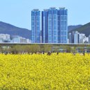 꽃물공원 이미지